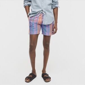 J. Crew Multicolor Striped Swim Trunks